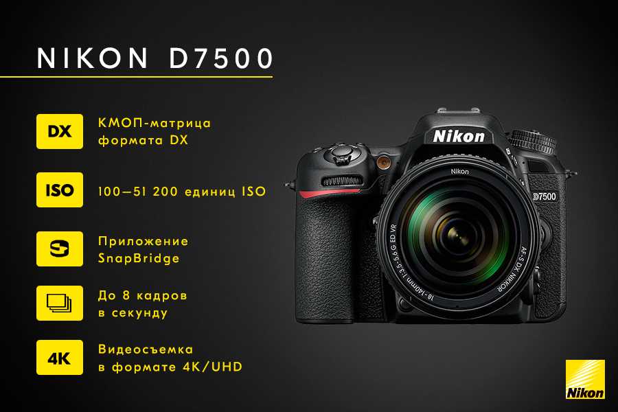 Топ-7 лучших фотоаппаратов nikon — рейтинг 2024 года