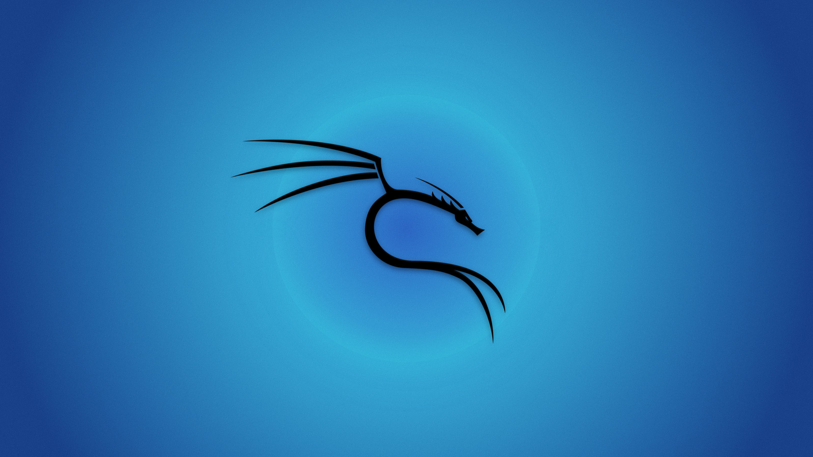 Kali linux любимец хакеров