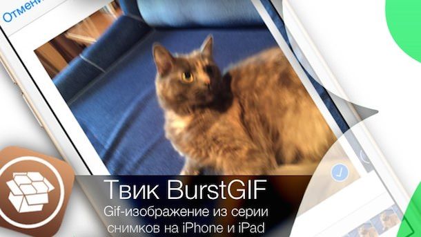 Как сделать гифку из видео на android, iphone и пк? подробная пошаговая инструкция