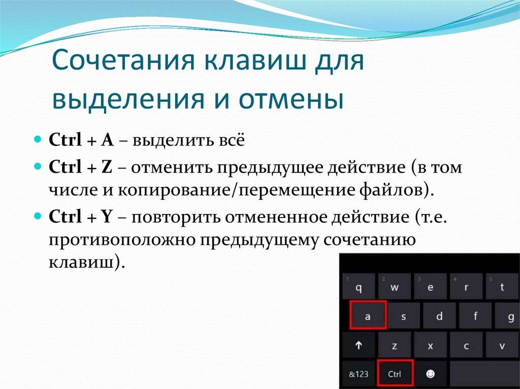 Как проверить клавиатуру на работоспособность: разные способами