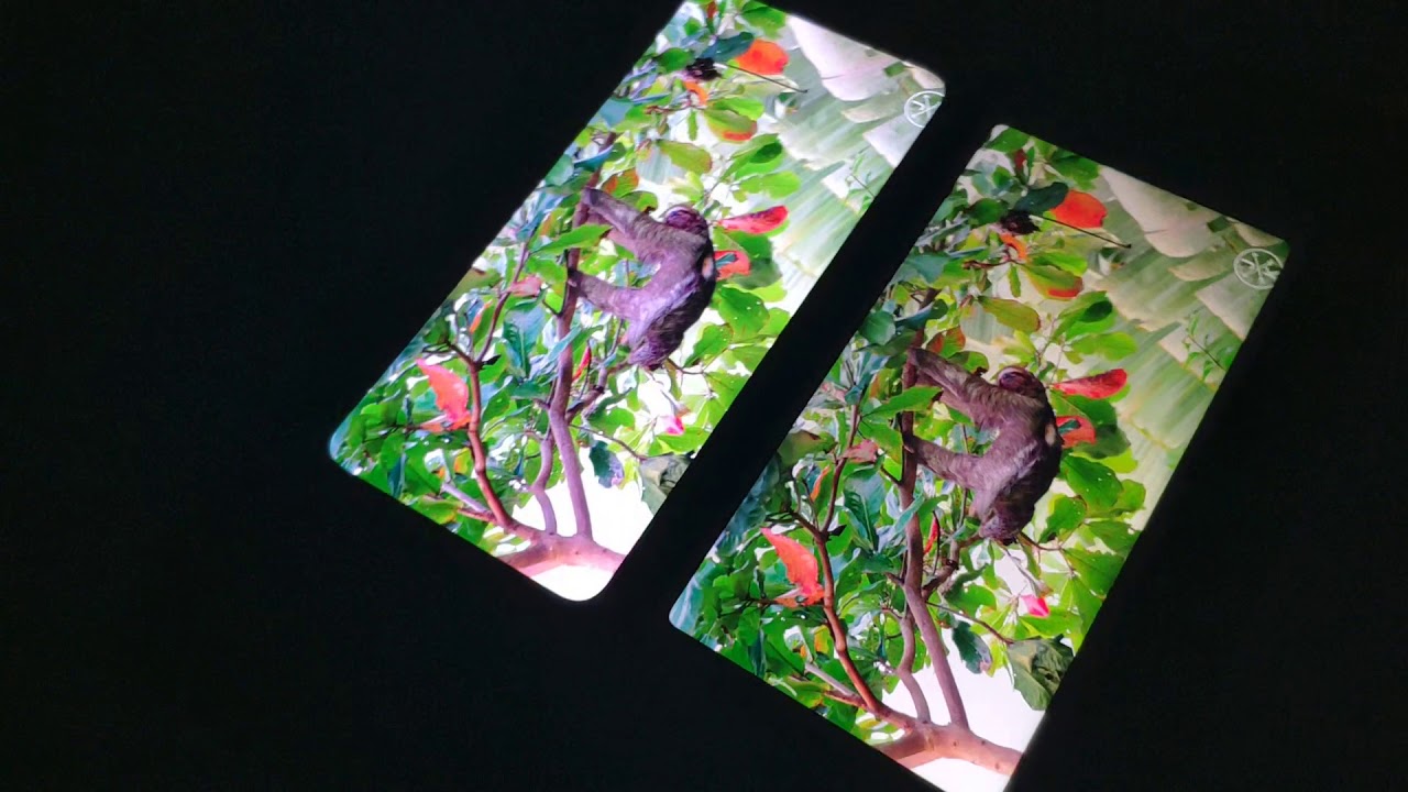 Ips или oled: какой дисплей лучше в смартфонах и планшетах | ichip.ru