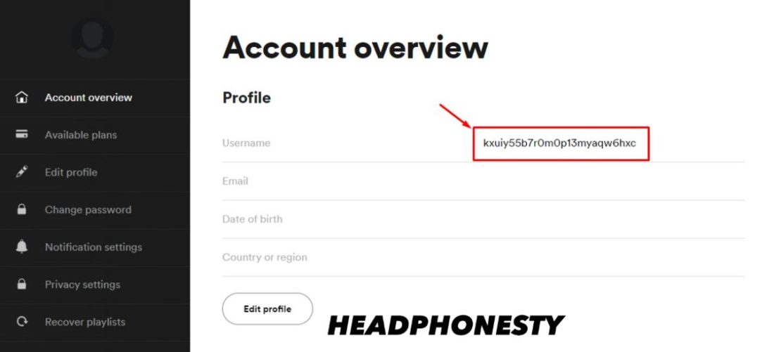 Как изменить имя пользователя на spotify - сделать больше 2024