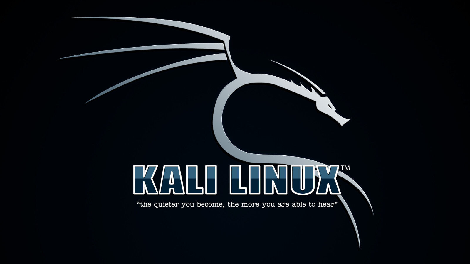 20 вещей, которые нужно сделать после установки kali linux - русские блоги