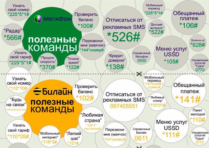 Важные ussd-коды для оператора билайн (весь список)