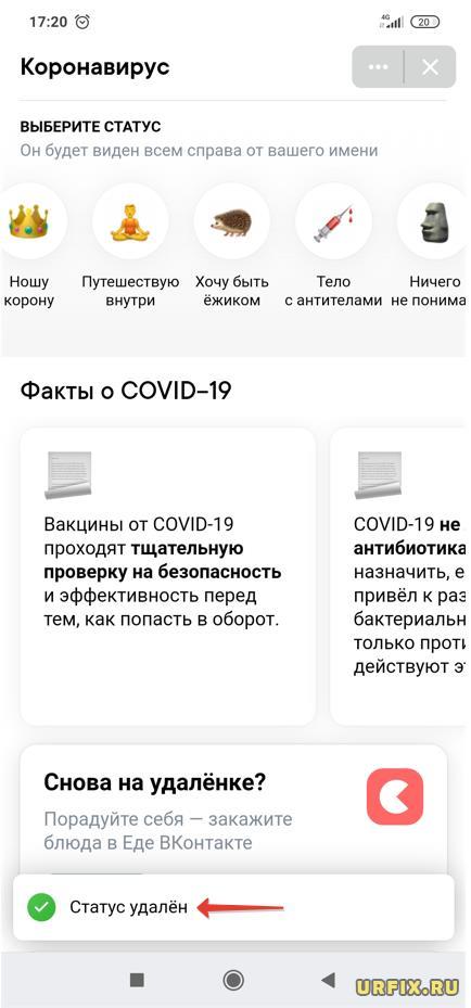 Как поставить статус в вк рядом с именем