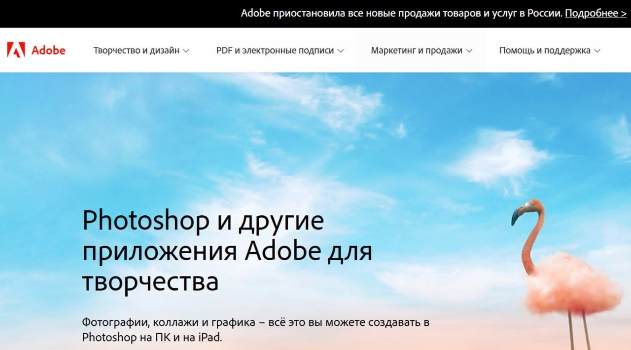 Adobe втихую вернула россиянам доступ к photoshop: его можно скачать бесплатно. компания боится российских конкурентов