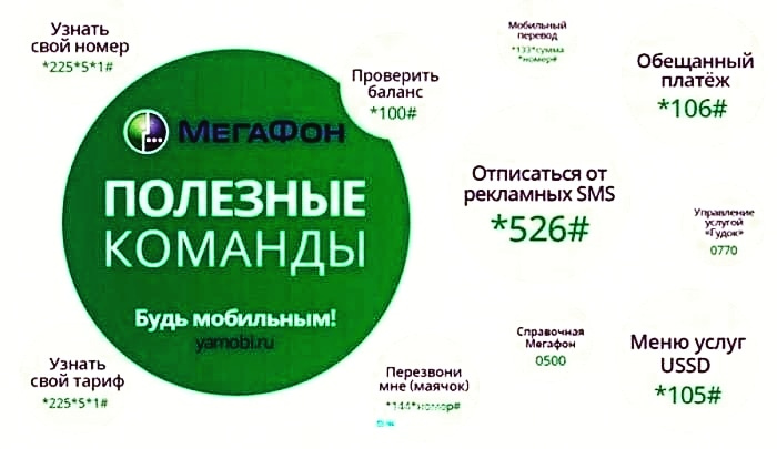 Команды билайн: актуальные короткие номера и ussd-коды