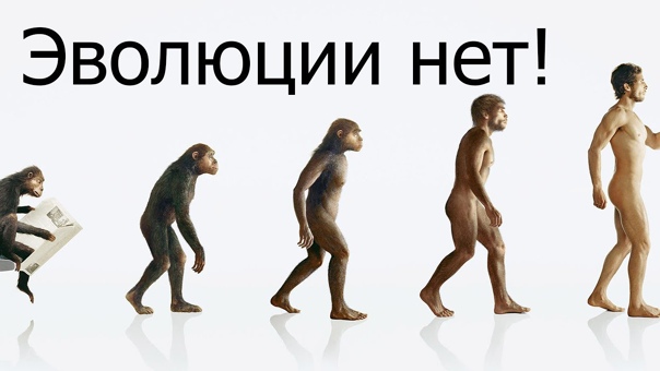 Версии windows: история видов по порядку