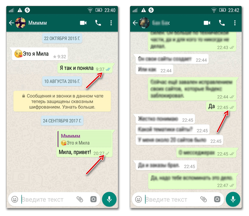 Главные хитрости whatsapp: как стать невидимкой, выделять слова и еще 7 полезных советов