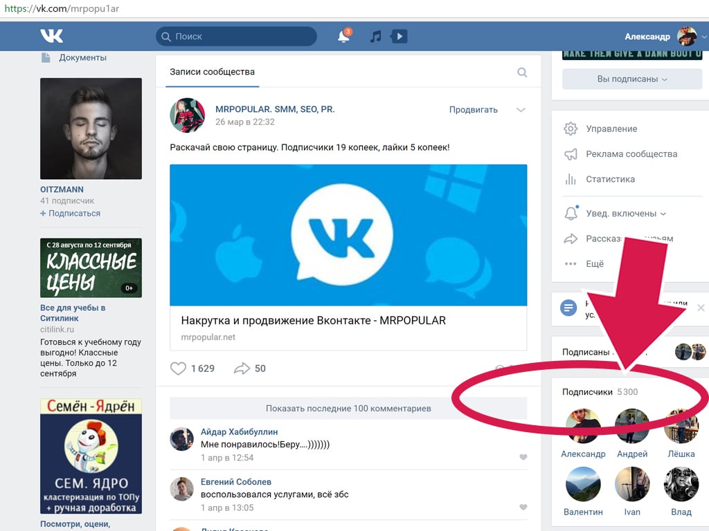 Подписчики и друзья вконтакте