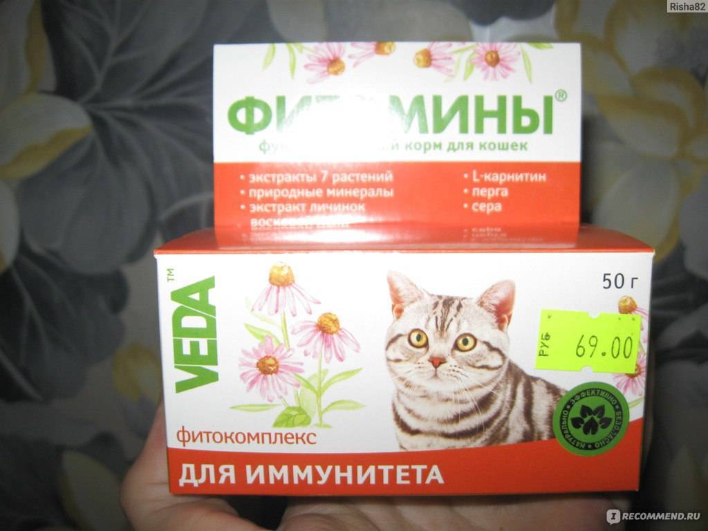 Рейтинг лучших витаминов для кошек 2023 года по цене, качеству и отзывам покупателей Достоинства и недостатки Где можно купить