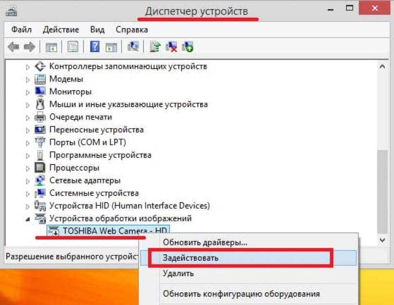Топ-3 способа как сделать снимок с веб-камеры
