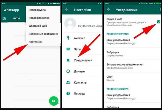 Как отключить уведомления в ватсапе в группе