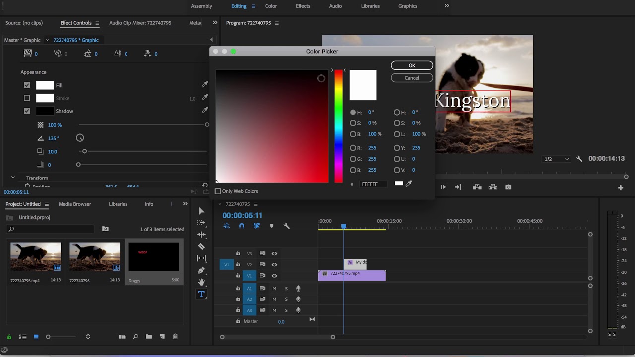 How to add text in premiere pro [2024 guide] - stock video secrets