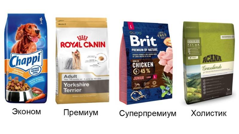 🐕в 2024 году определяемся с лучшими беззерновыми кормами для собак