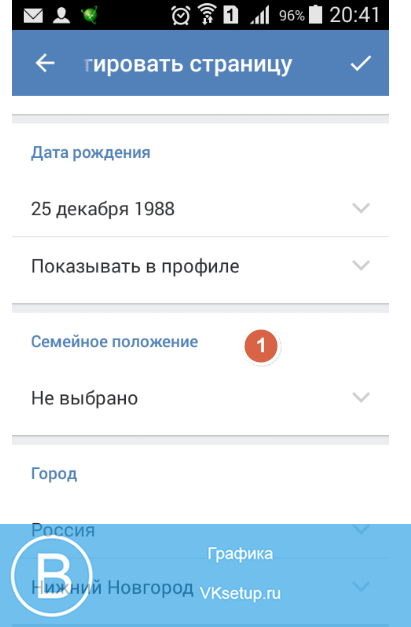 Как узнать скрыто ли сп вконтакте. что значит то или иное семейное положение вконтакте
