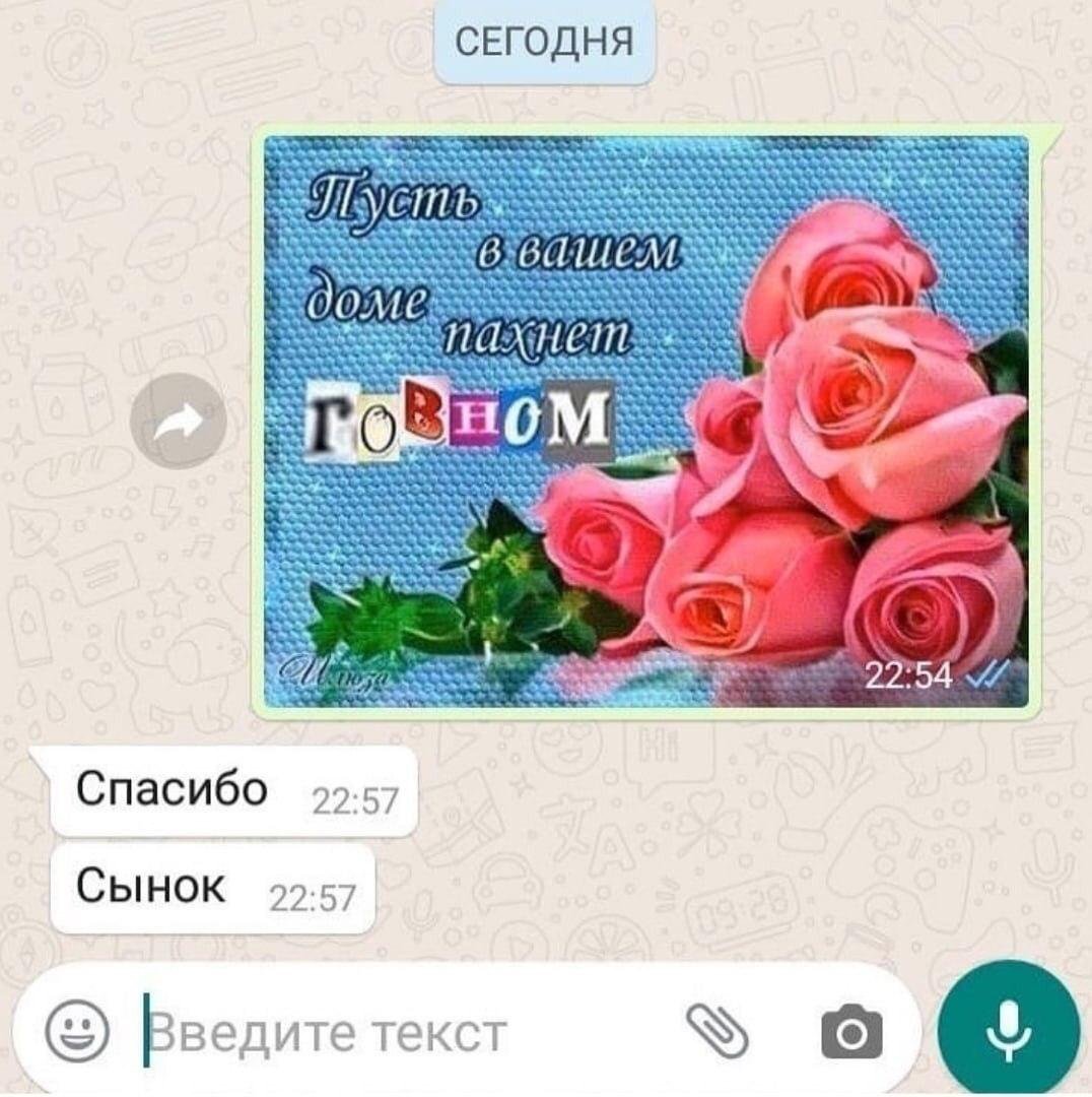 Как пересылать медиаконтент в whatsapp