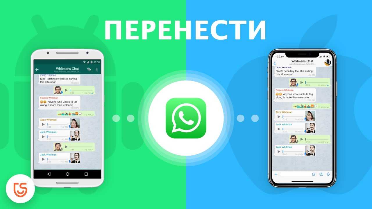 Подробные инструкции для переноса чатов в Ватсапе на другой телефон Андроид, Айфон без потери сообщений в этой статье Поэтапно мы написали инструкцию, как это сделать