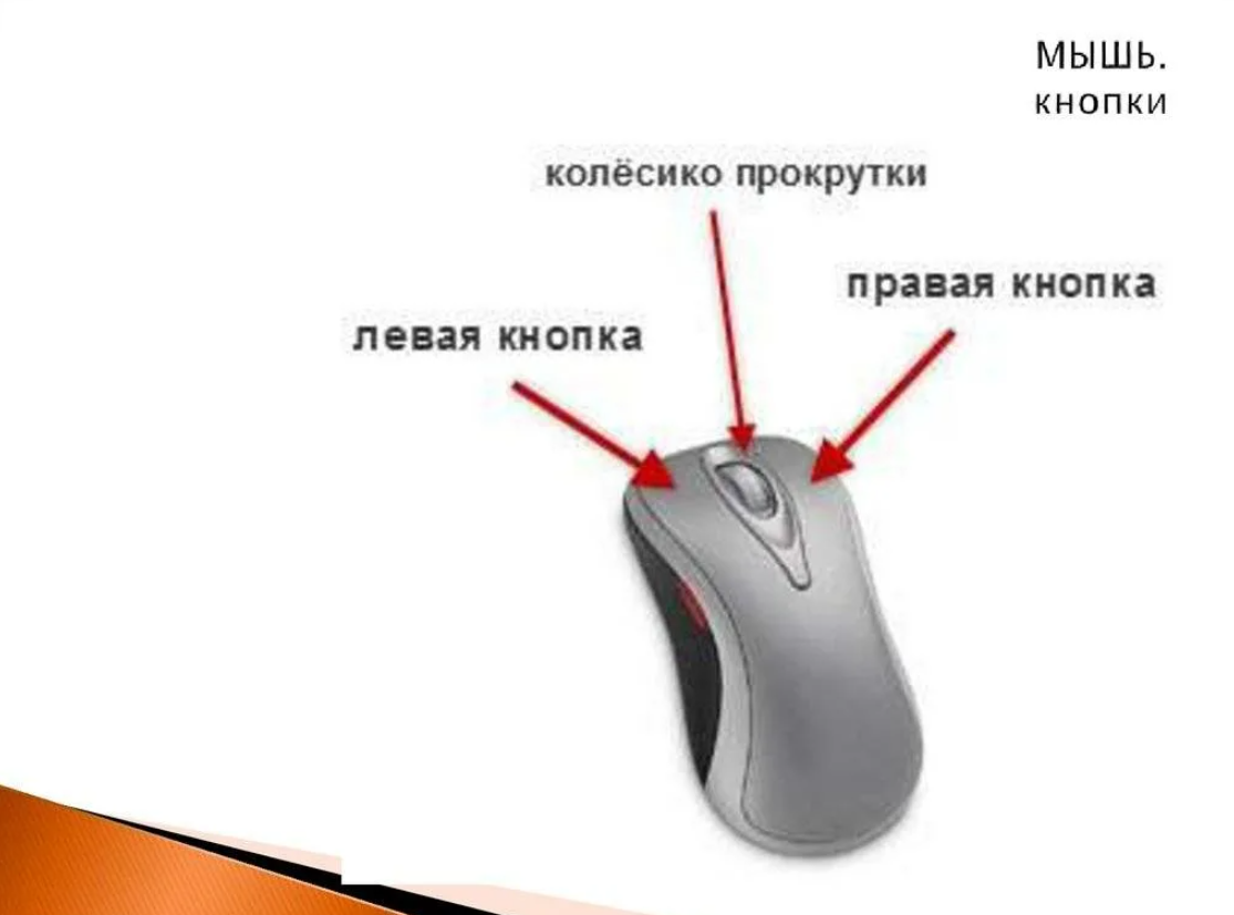 Для чего под колесом мыши нужна кнопка, ее функции и как настроить под себя