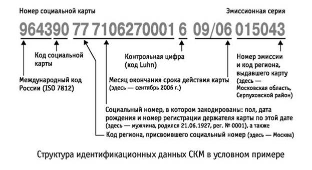 Срок действия социальной карты москвича: где узнать, как заменить