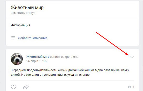 Как закрепить запись на стене вк, в группе, с телефона, компьютера