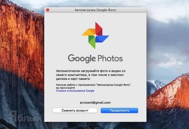 «google фото» – что это за программа на телефоне и как её использовать
