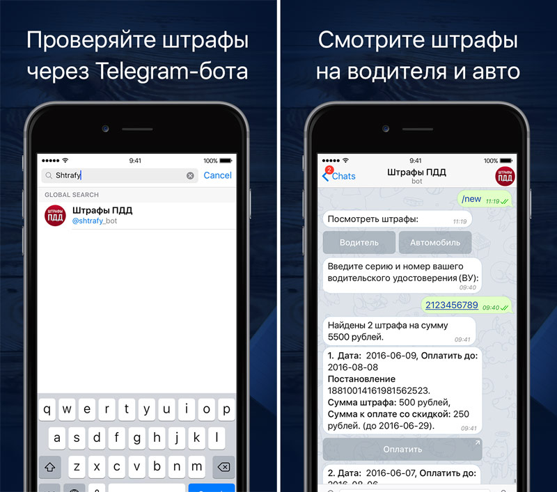 Как в телеграмме пробить номер машины