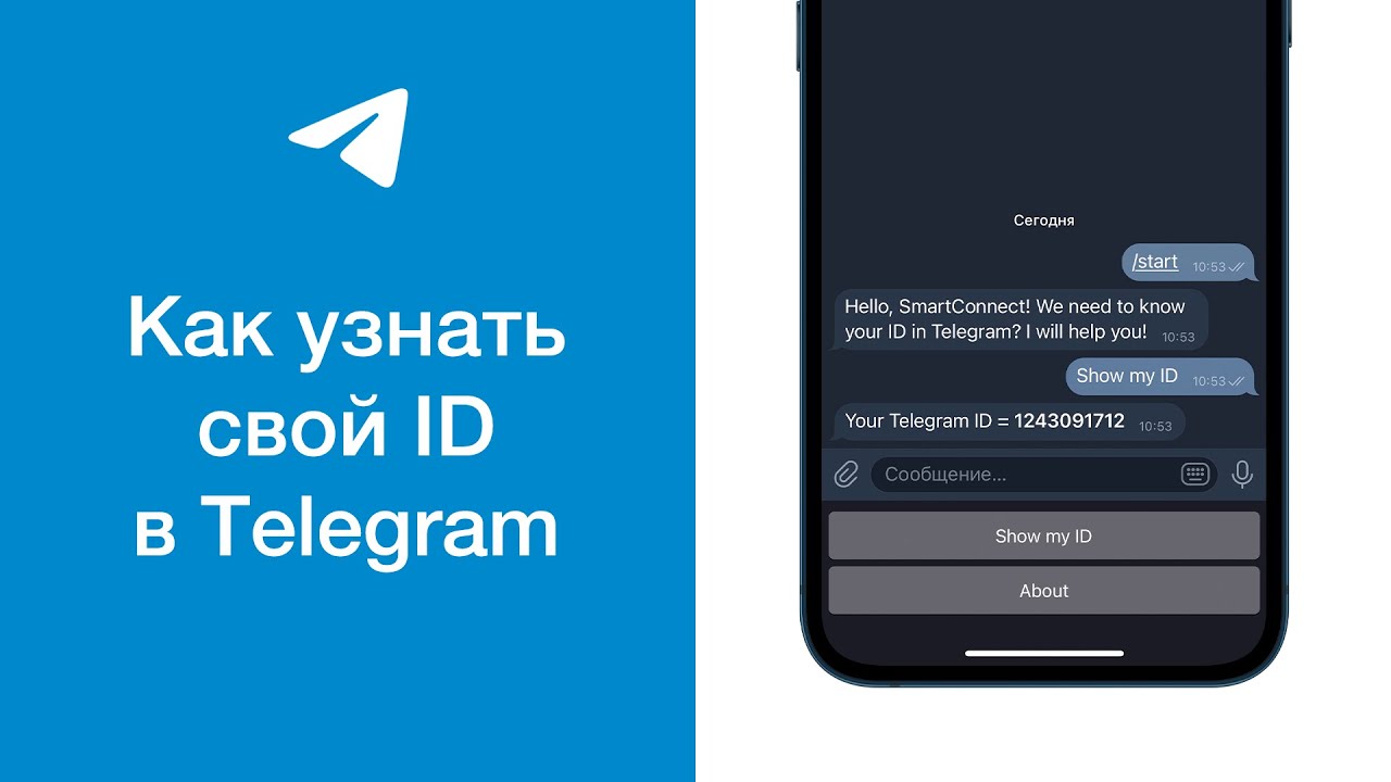 Telegram бот. введение