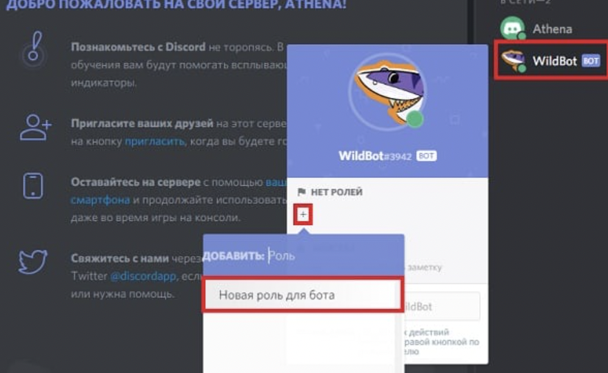 Discord-бот avrae — шпаргалка и расширенные возможности | long story short